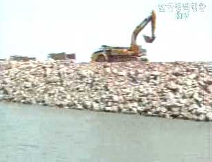 새만금 공사시작