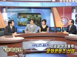 차세대 성장동력, 문화컨텐츠 산업