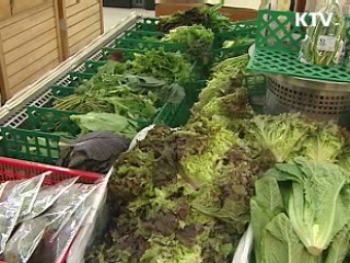 친환경 농산물 첫 10%대...지원 박차