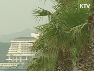 전남발-제주행 뱃길 '지역경제 효자'