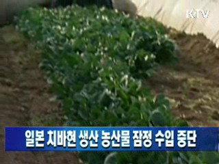 일본 치바현 생산 농산물 잠정 수입 중단