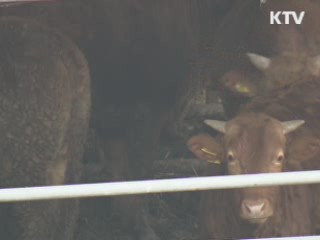 김종훈 본부장 "EU 시장점유율 3년내 3%로 확대"