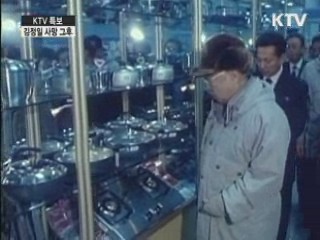 "김정일, 열차 속 아닌 별장서 사망"