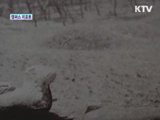 사진으로 본 '안동 문화재 100년'