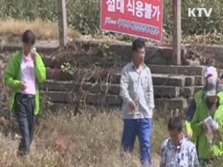 불산 누출 지역 특별재난지역 선포