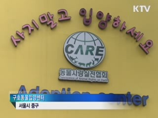 '동물보호' 국민의식 과거보다 개선