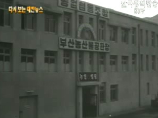 해방 후 첫 한일간 여객선 취항, 부산항(‘60)