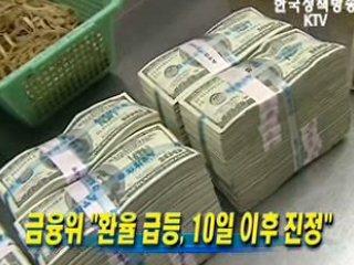 금융위 ‘환율 급등, 10일 이후 진정’