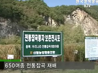 종자로열티 시장을 잡아라