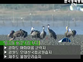 천혜의 해안습지를 가다