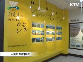 생태복합관광 명서로 거듭나는 '시화호'