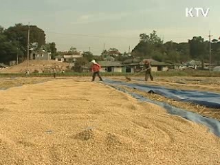 농지담보 연금제도 2011년 도입