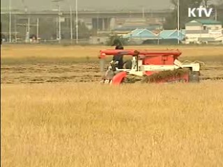 쌀 직불금, 1만㎡ 이상 경작시 지급