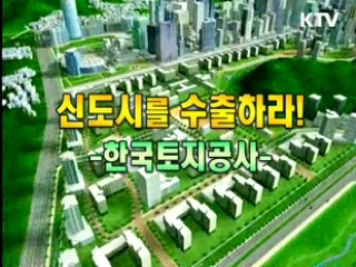 신도시를 수출하라 [이것이 최고]