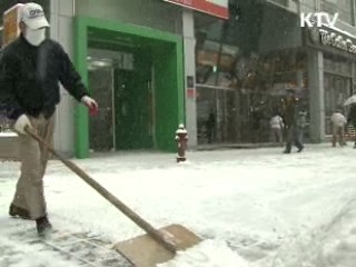 내집 앞 눈 방치 심하면 과태료 부과 추진