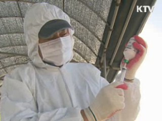 구제역 예방접종 확대, 이동통제 강화