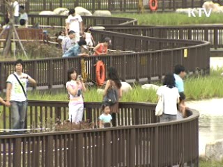 경북도, 낙동강 나루터 5곳 조성