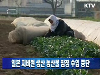 일본 치바현 생산 농산물 잠정 수입 중단