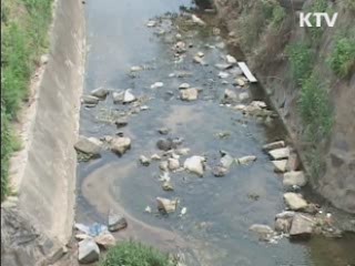 한·미, 오늘 '첫 고엽제' 공동조사