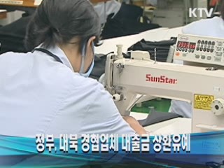 정부, 대북 경협업체 대출금 상환유예