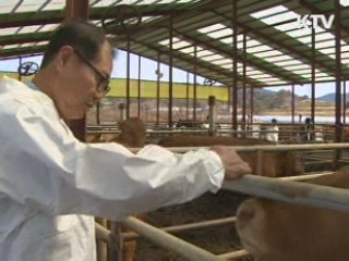 2차피해 확산 차단…특별재난지역 선포 검토