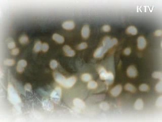 후배들은 '응원', 부모들은 '염원'