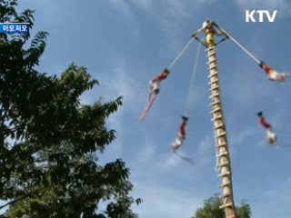 정기검진 받는 희귀종 백사자들