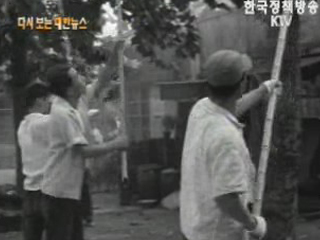 흰불나방 구충 작업(`61)