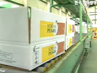 `차기 정부에서 한중 FTA 추진할 것`