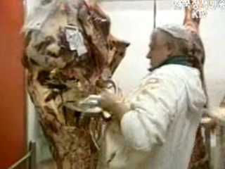 미국산 쇠고기 뼛조각 또 검출