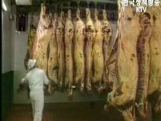 `美쇠고기 안정성 확보때까지 전수검사`