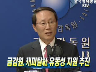 금감원, 캐피탈社 유동성 지원 추진