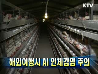 해외여행시 AI 인체감염 주의