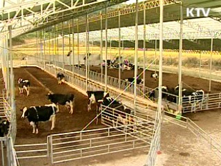 우유 생산량 제한 '전국 쿼터제' 도입