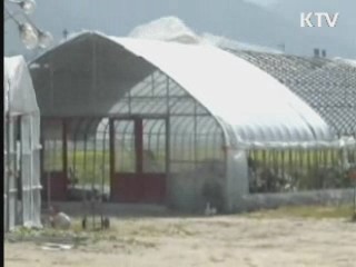 사과·배 등 재해보험금 776억원 지급