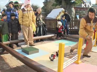 2011년 토끼해…"지혜와 풍요 드려요"