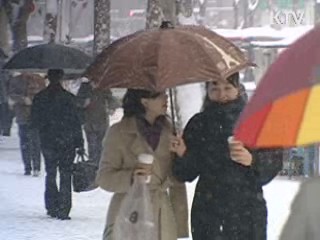 "겨울철 산재 주범은 폭설·한파"