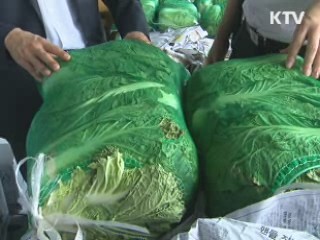 추석 농식품 원산지 위반 대대적 단속