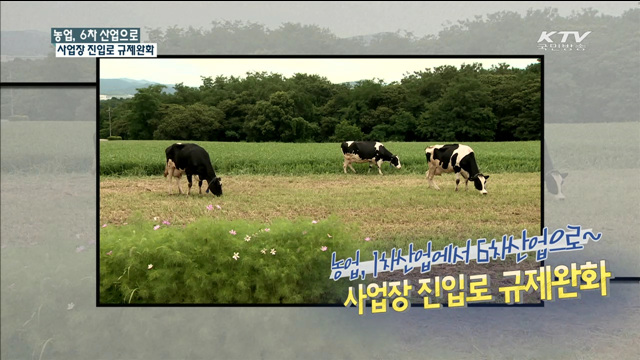 농업, 6차 산업으로, 사업장 진입로 규제완화