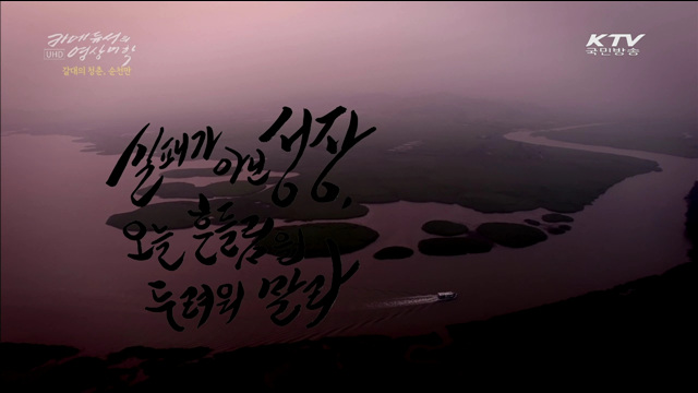 갈대의 노래, 순천만