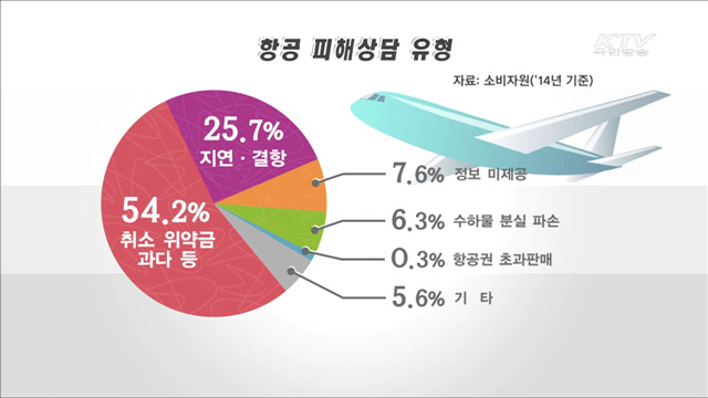 '소비자 보호기준' 마련…항공이용자 보호 강화