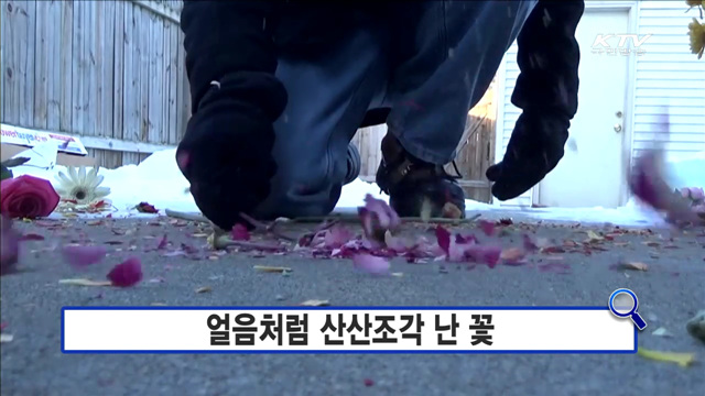 얼음처럼 산산조각난 꽃 [인터넷 화제의 영상]