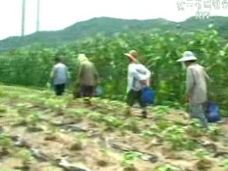 ‘모든 농산물’ 피해보전