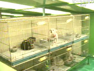 동물 보호 수준 높다