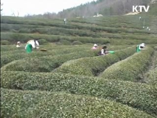 광역 클러스터로 지역 특산물 육성