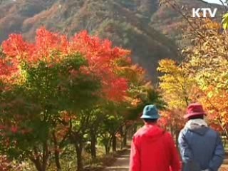 이번 주말부터 단풍철 '안전산행' 주의