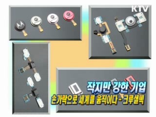 작지만 강한 기업 '크루셜텍' [이것이 최고]