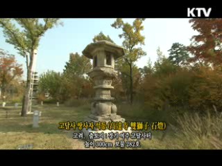 고달사 쌍사자 석등 [한국의 유물]