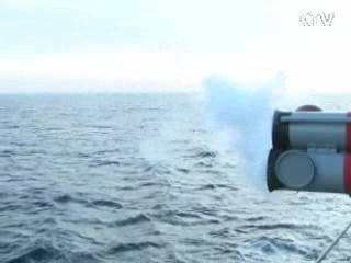 서해 '고난도 전술훈련' 실시