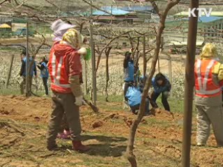 자원 민방위대 3만명 창설
